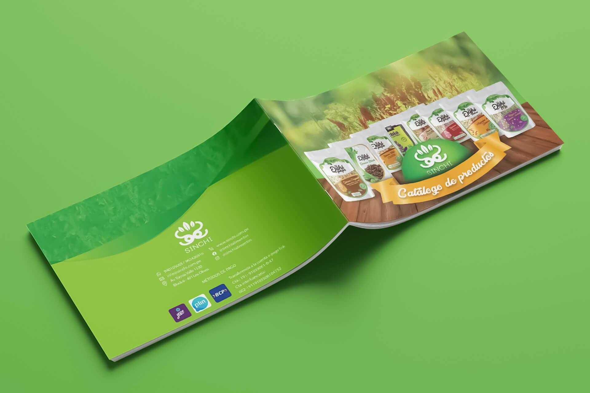 Diseño de catalogo